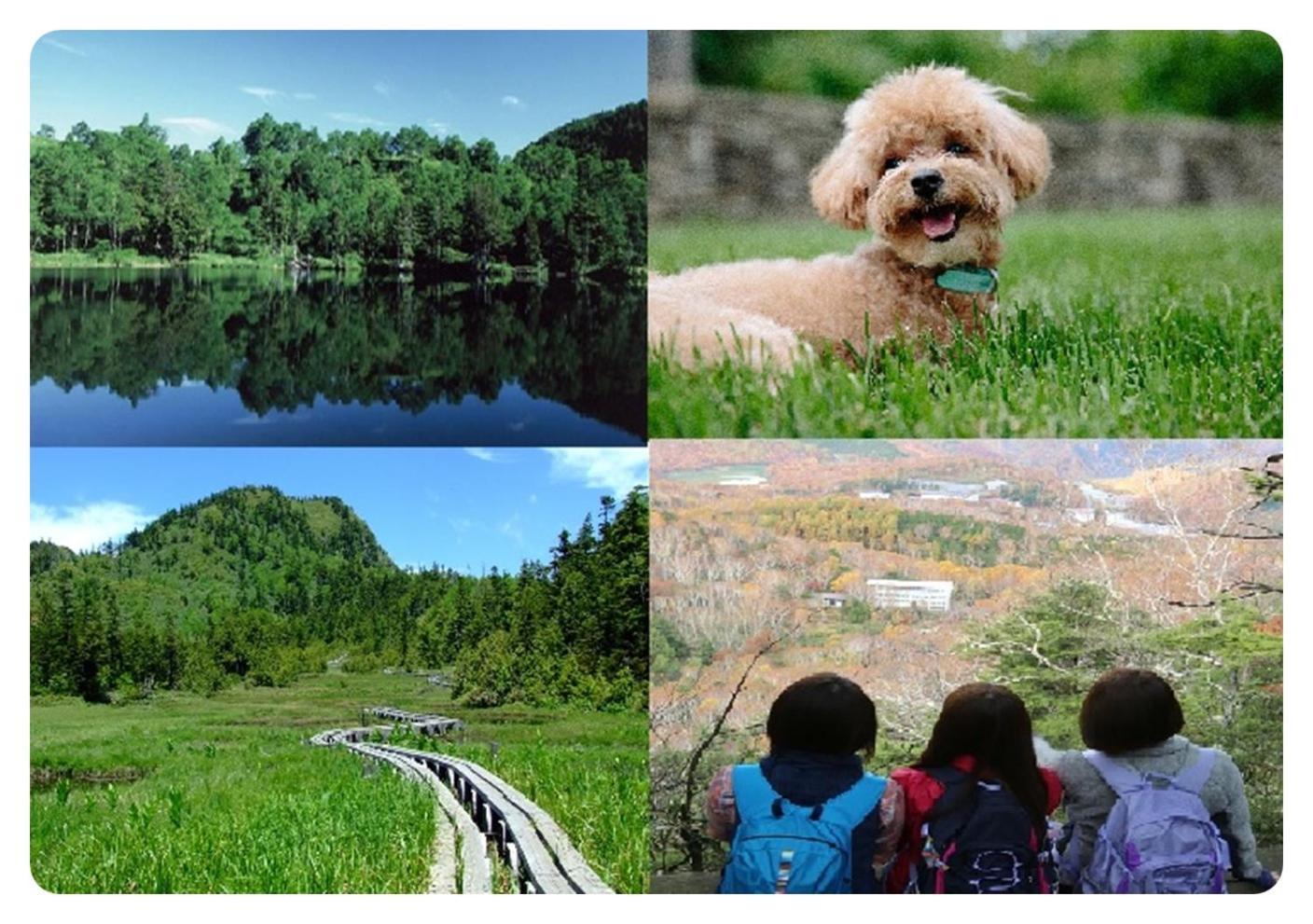 Shiga Kogen Hotel Shiga Sunvalley Яманоуті Екстер'єр фото