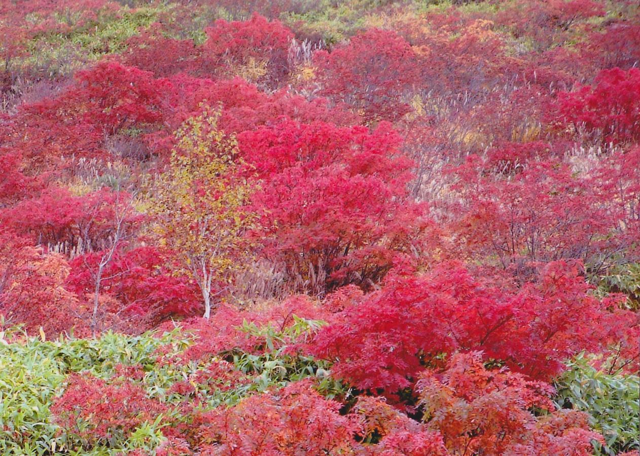 Shiga Kogen Hotel Shiga Sunvalley Яманоуті Екстер'єр фото