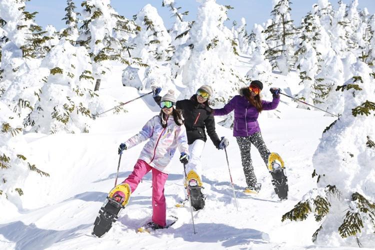 Shiga Kogen Hotel Shiga Sunvalley Яманоуті Екстер'єр фото